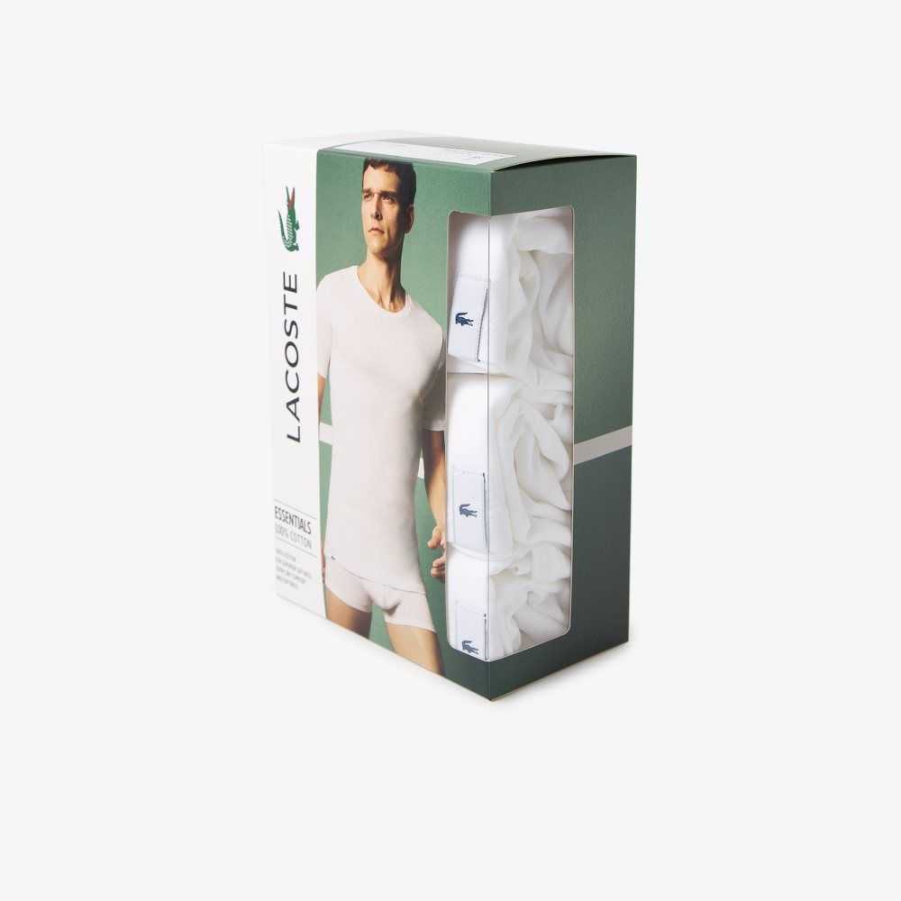 Lacoste T-Shirt 3-Pack White | XEC-940571