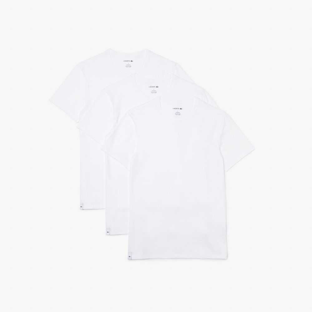 Lacoste T-Shirt 3-Pack White | XEC-940571