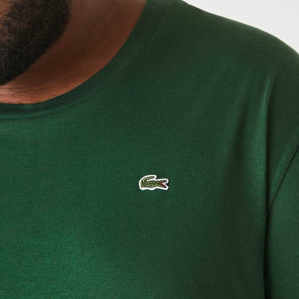 Lacoste Tall Fit Pima Cotton Jersey T-Shirt Green | EUR-872106