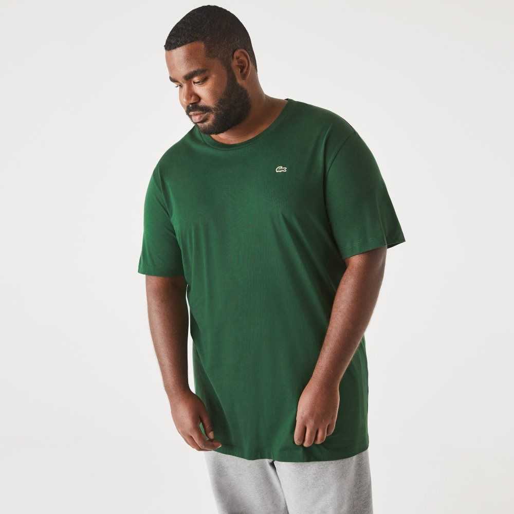 Lacoste Tall Fit Pima Cotton Jersey T-Shirt Green | EUR-872106