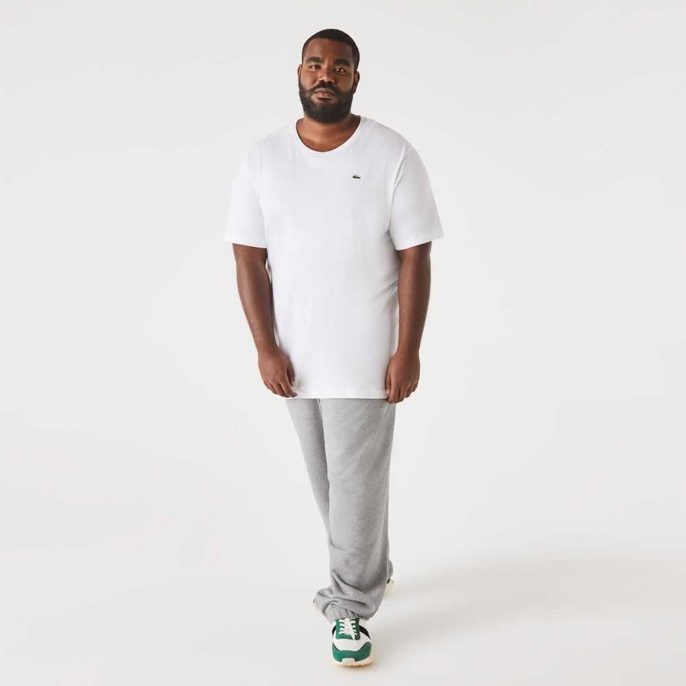 Lacoste Tall Fit Pima Cotton Jersey T-Shirt White | SAD-260789