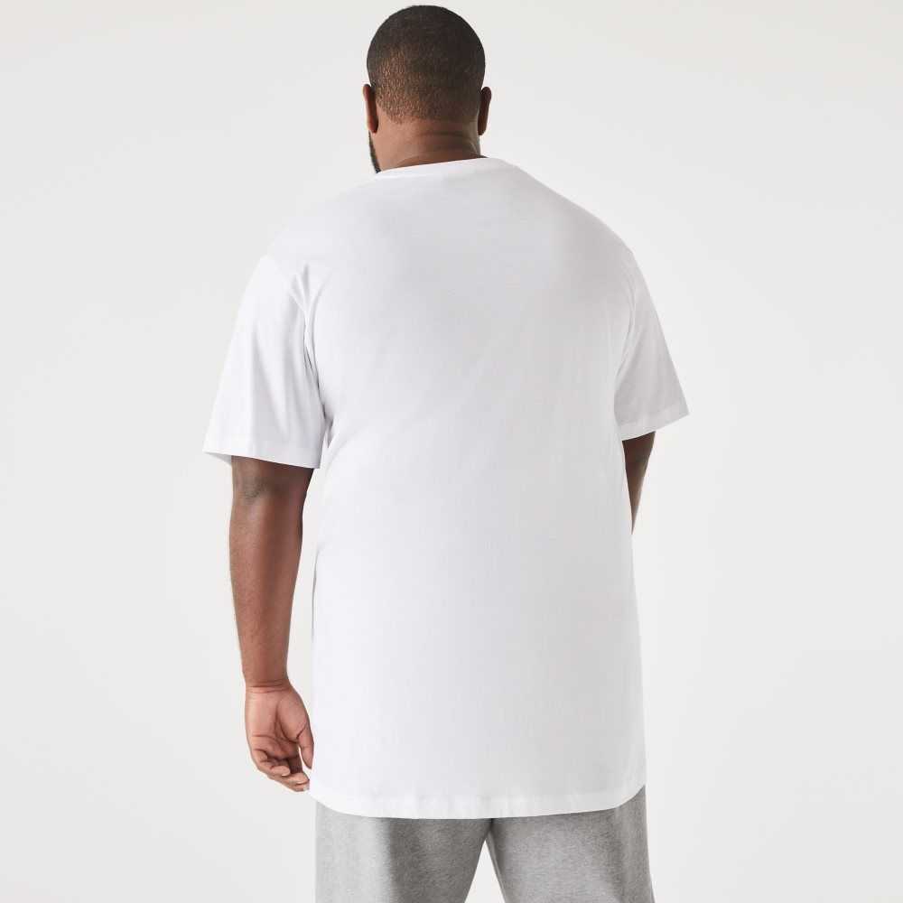 Lacoste Tall Fit Pima Cotton Jersey T-Shirt White | SAD-260789