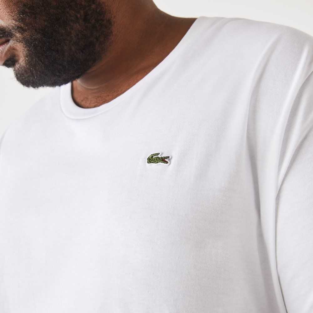 Lacoste Tall Fit Pima Cotton Jersey T-Shirt White | SAD-260789