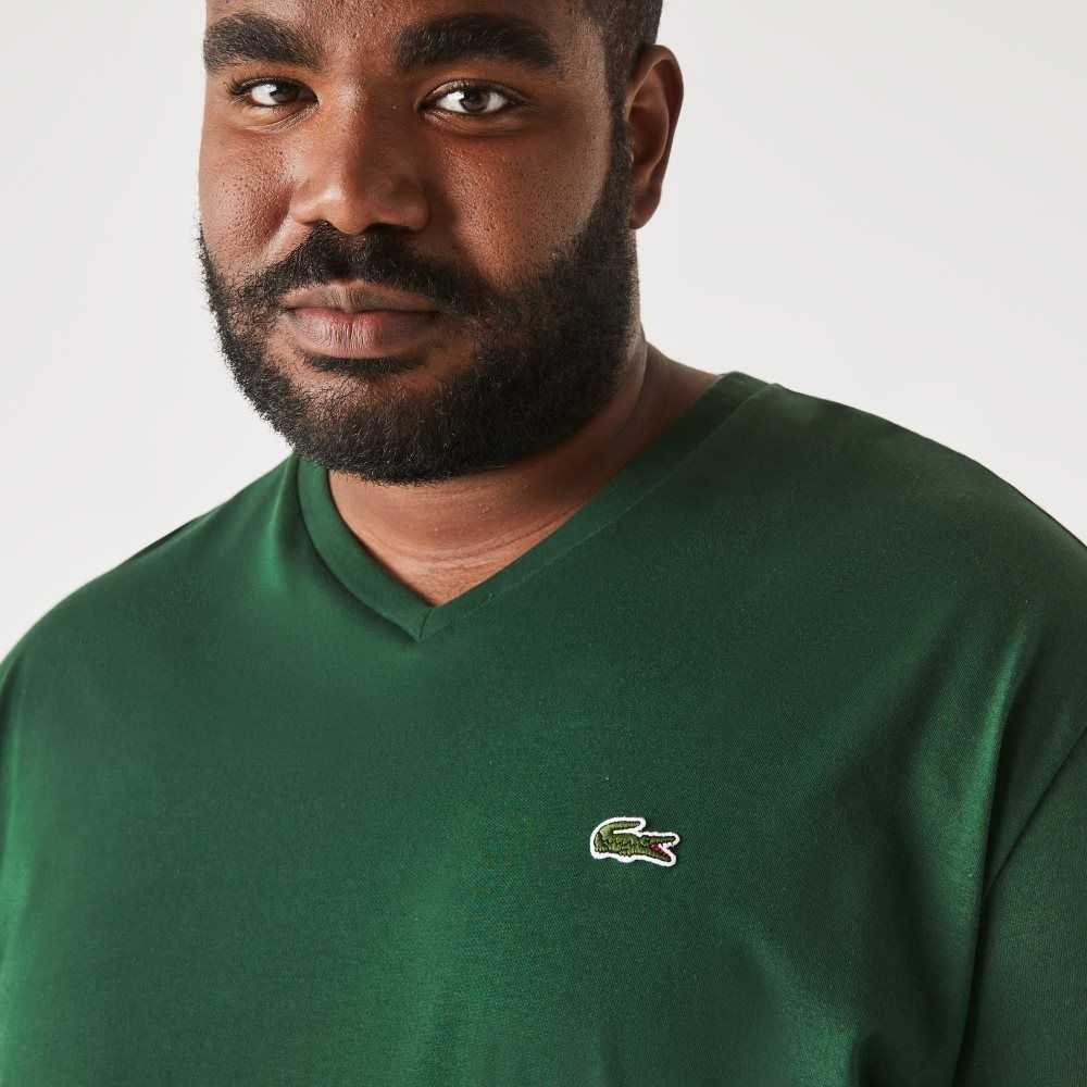 Lacoste Tall Fit Ribbed V-Neck Cotton Polo Shirt Green | XPC-591486