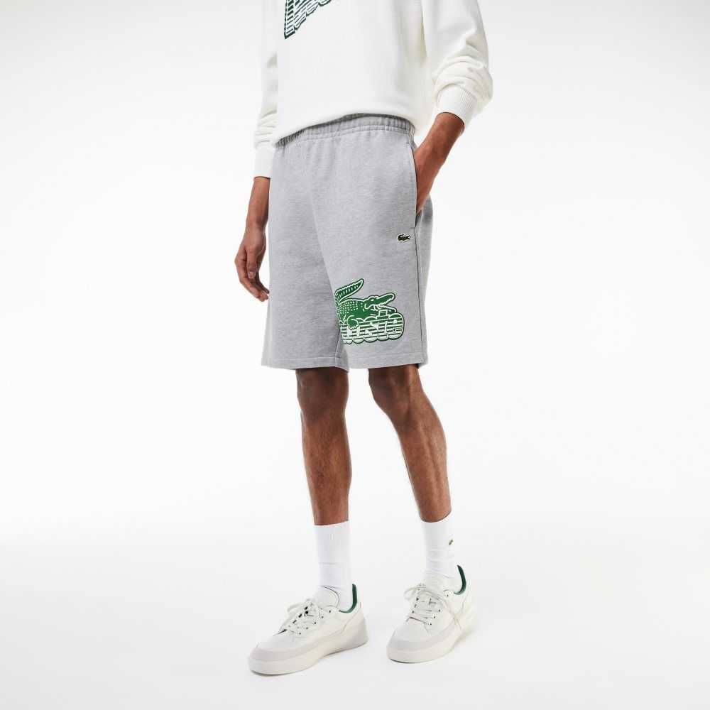 Lacoste Unbrushed Cotton Fleece Shorts Grey Chine | LHU-521647