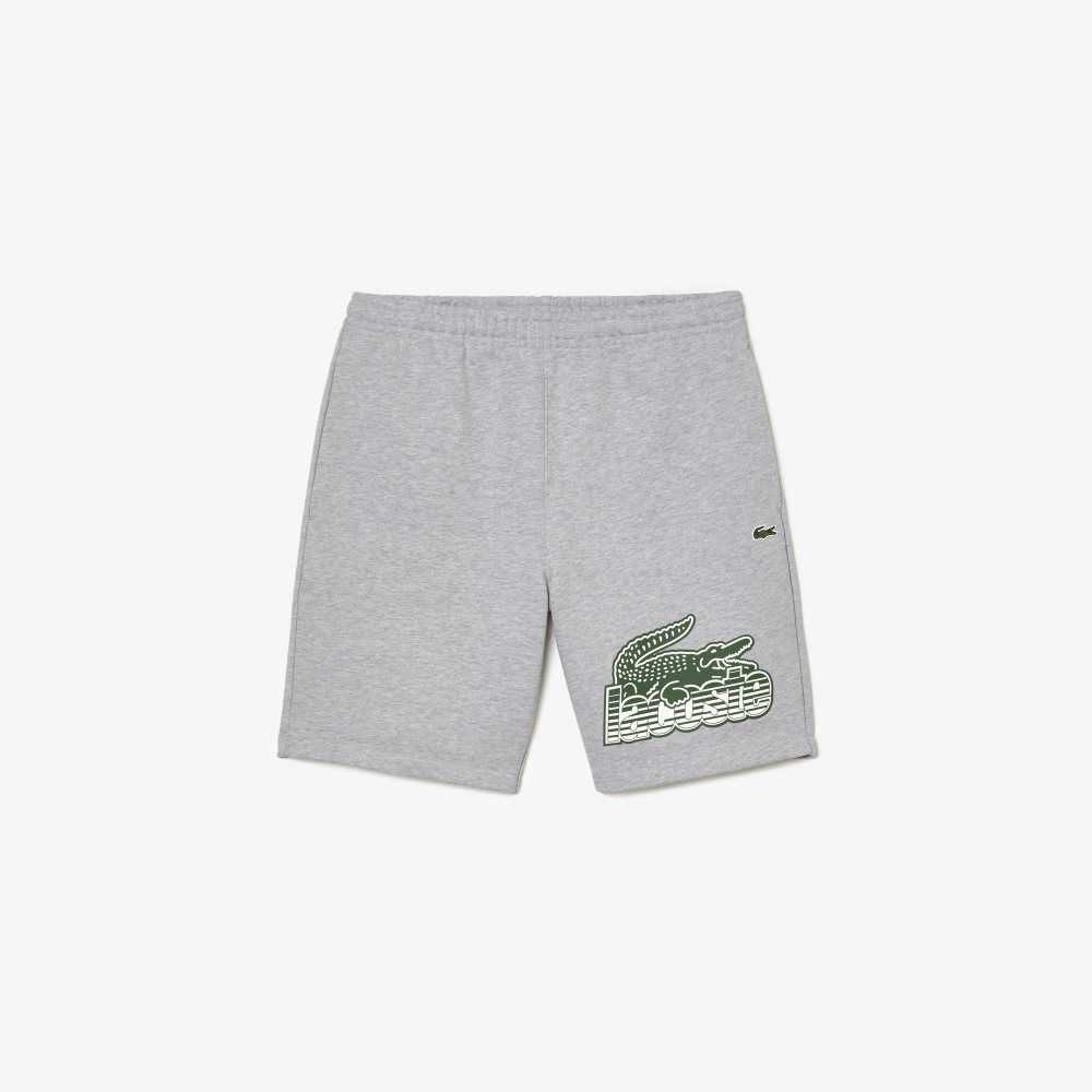 Lacoste Unbrushed Cotton Fleece Shorts Grey Chine | LHU-521647