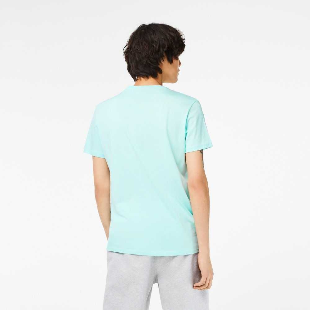 Lacoste V-Neck Pima Cotton Jersey T-Shirt Mint | FAC-254081